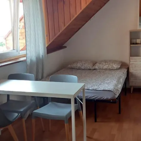 Domek Pod Sosnami Pokoje 2-3 Osobowe ホームステイ ミエルノ