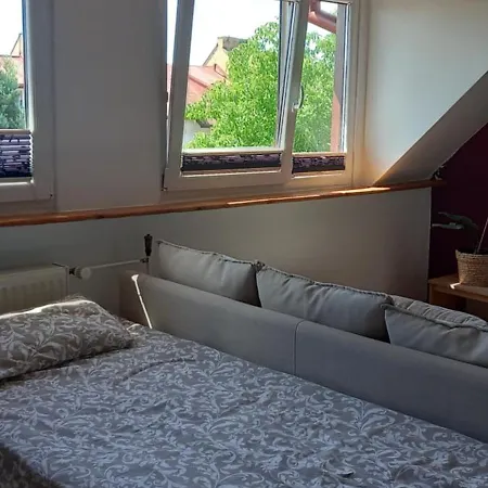 Domek Pod Sosnami Pokoje 2-3 Osobowe ホームステイ ミエルノ