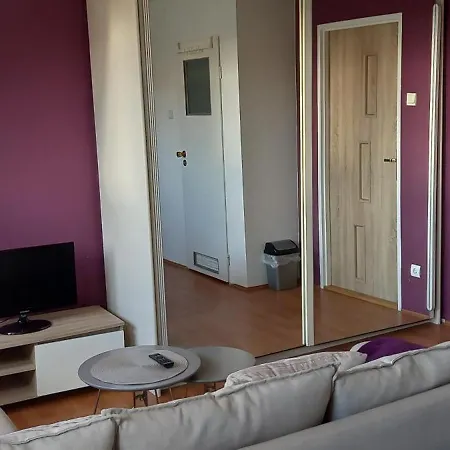 Domek Pod Sosnami Pokoje 2-3 Osobowe * ミエルノ