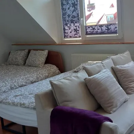 ホームステイ Domek Pod Sosnami Pokoje 2-3 Osobowe