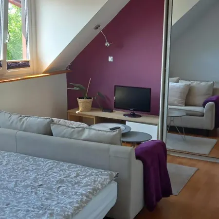 Domek Pod Sosnami Pokoje 2-3 Osobowe *